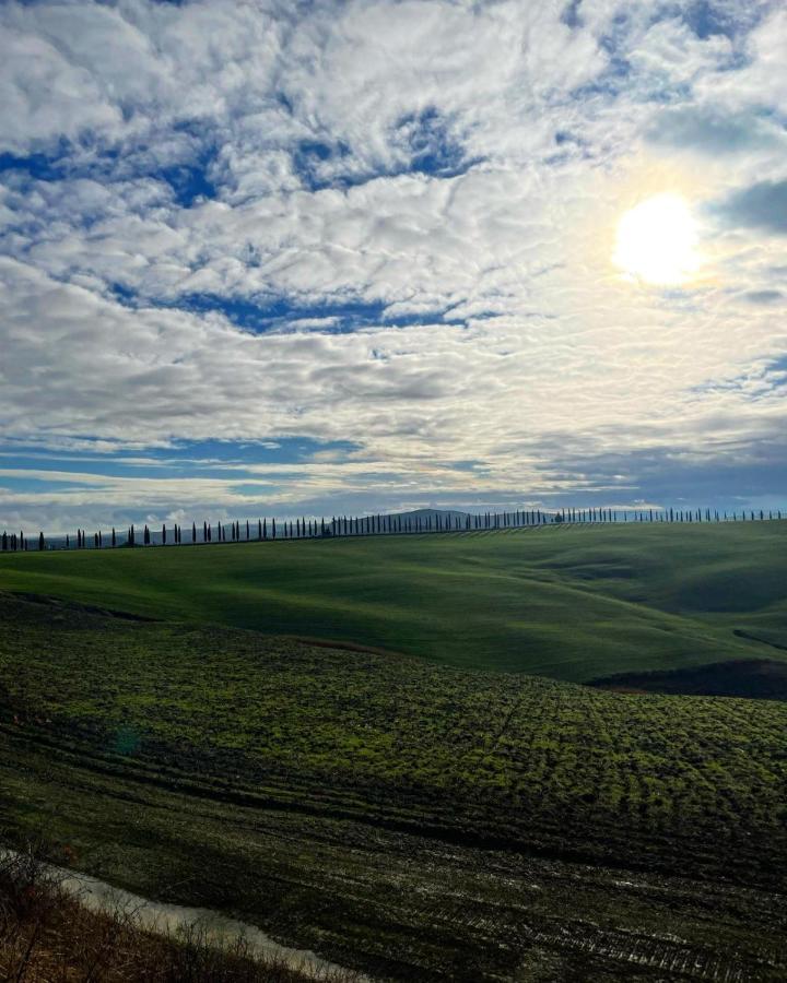 Agriturismo Bombina Montisi Екстериор снимка