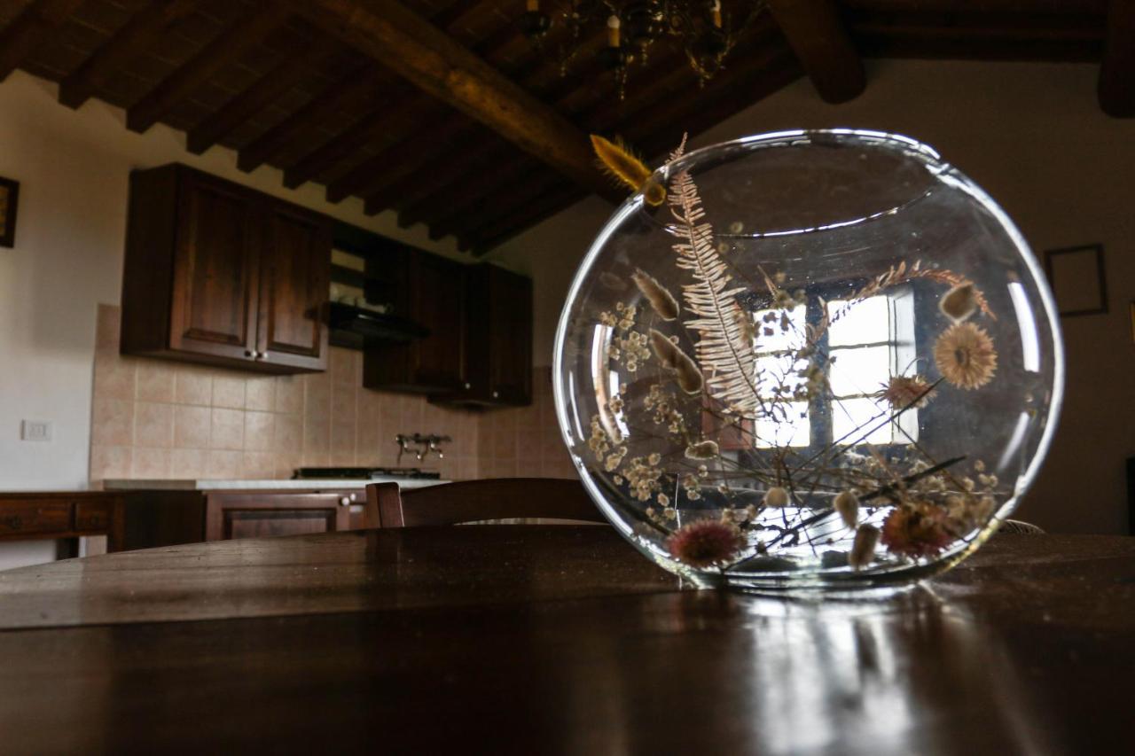 Agriturismo Bombina Montisi Екстериор снимка