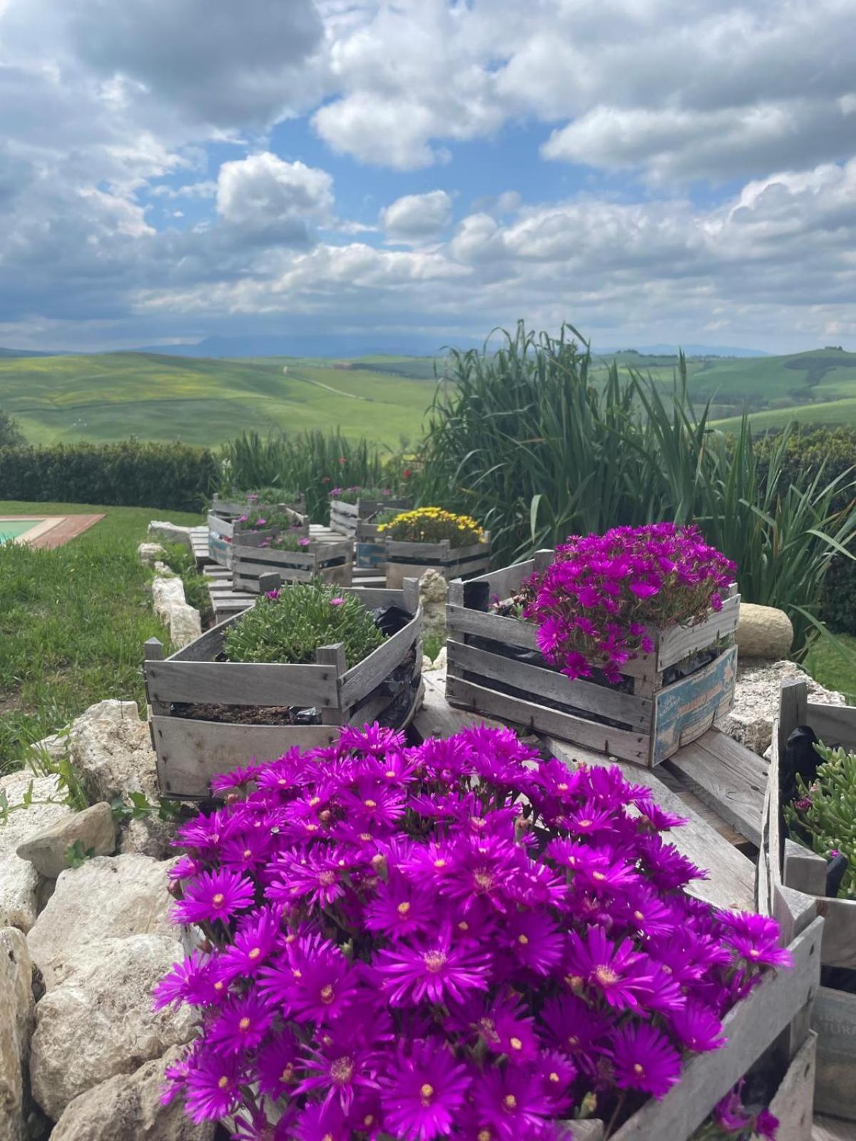 Agriturismo Bombina Montisi Екстериор снимка